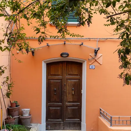 Capo Di Lucca White By Wonderful Italy *